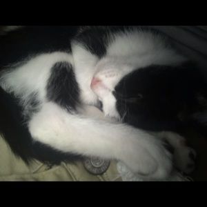 Meet your Posher, Haley